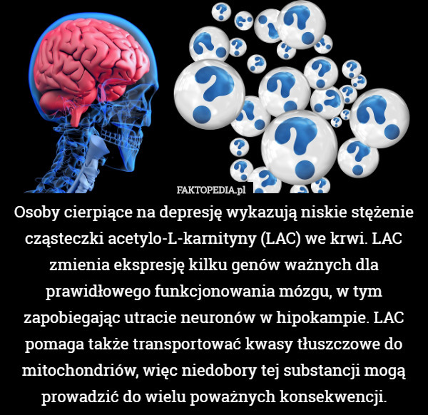 Osoby cierpiące na depresję wykazują niskie stężenie cząsteczki acetylo-L-karnityny