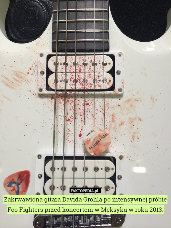 Zakrwawiona gitara Davida Grohla po intensywnej próbie Foo Fighters przed