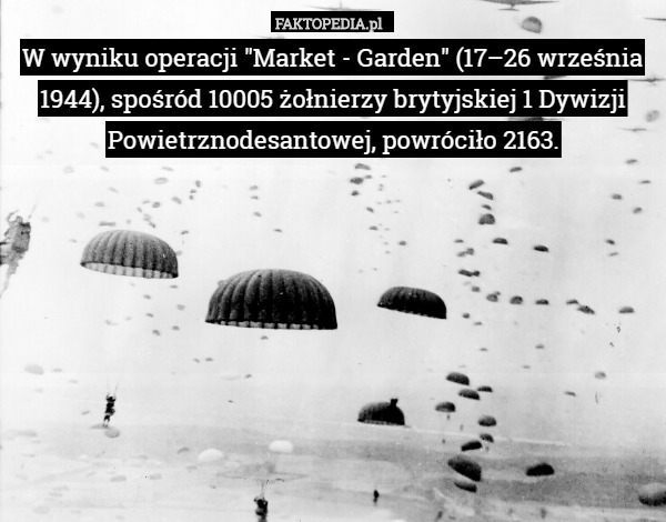 W wyniku operacji "Market - Garden" (17–26 września 1944), spośród