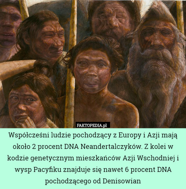 Współcześni ludzie pochodzący z Europy i Azji mają około 2 procent DNA Neandertalczyków.