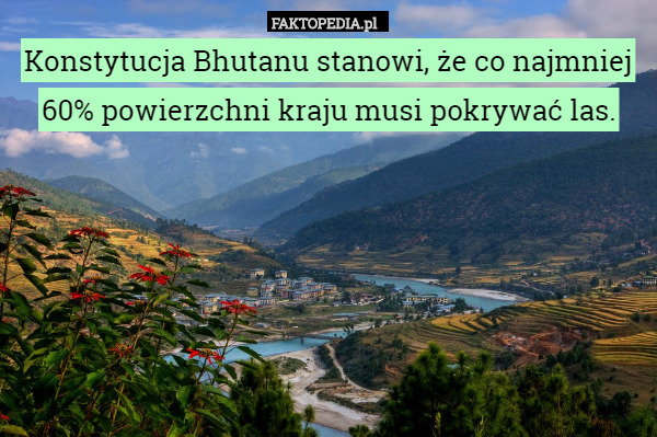 Konstytucja Bhutanu stanowi, że co najmniej 60% powierzchni kraju musi pokrywać