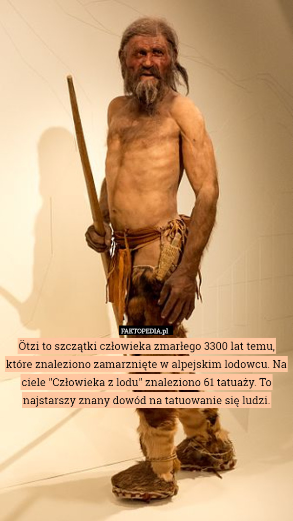 Ötzi to szczątki człowieka zmarłego 3300 lat temu, które znaleziono zamarznięte