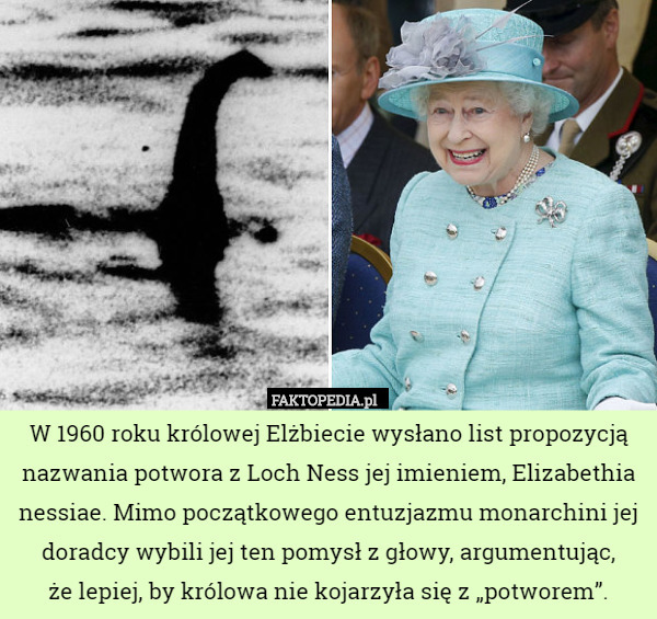 W 1960 roku królowej Elżbiecie wysłano list propozycją nazwania potwora