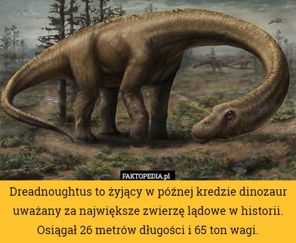 Dreadnoughtus to żyjący w późnej kredzie dinozaur uważany za największe...