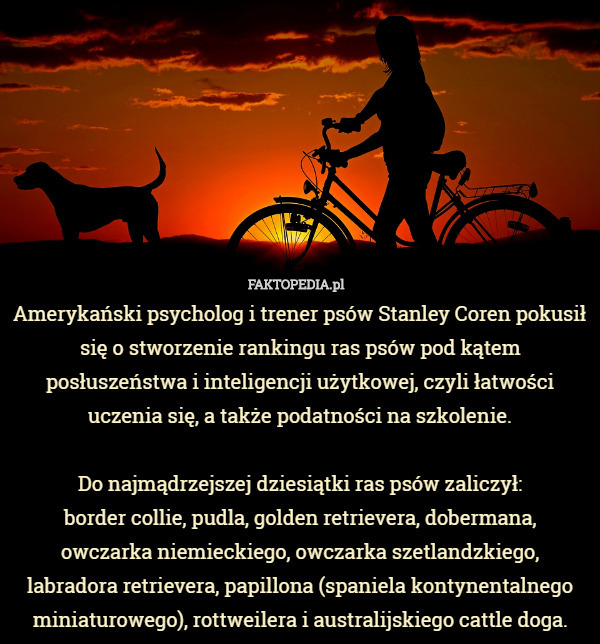 Amerykański psycholog i trener psów Stanley Coren pokusił się o stworzenie rankingu...