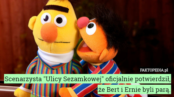 Scenarzysta "Ulicy Sezamkowej" oficjalnie potwierdził, że Bert...