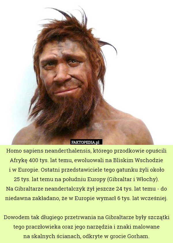 Homo sapiens neanderthalensis, którego przodkowie opuścili Afrykę...