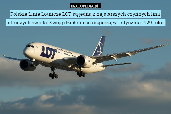 Polskie Linie Lotnicze LOT są jedną z najstarszych czynnych linii lotniczych...