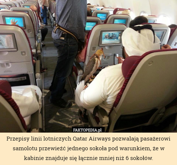 Przepisy linii lotniczych Qatar Airways pozwalają pasażerowi samolotu przewieźć...
