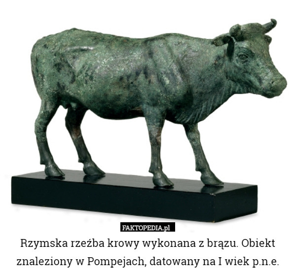 Rzymska rzeźba krowy wykonana z brązu. Obiekt znaleziony w...