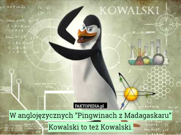 W anglojęzycznych ”Pingwinach z Madagaskaru” Kowalski to...