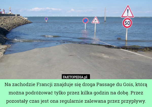 Na zachodzie Francji znajduje się droga Passage du Gois, którą można podróżować...