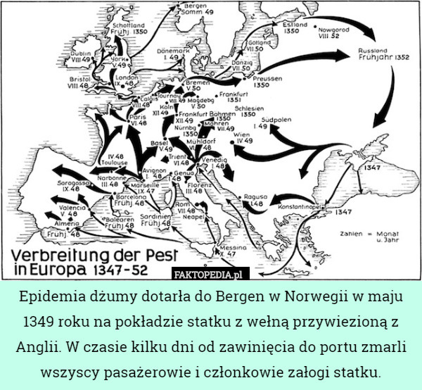 Epidemia dżumy dotarła do Bergen w Norwegii w maju 1349 roku na pokładzie...