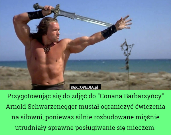Przygotowując się do zdjęć do "Conana Barbarzyńcy" Arnold Schwarzenegger...