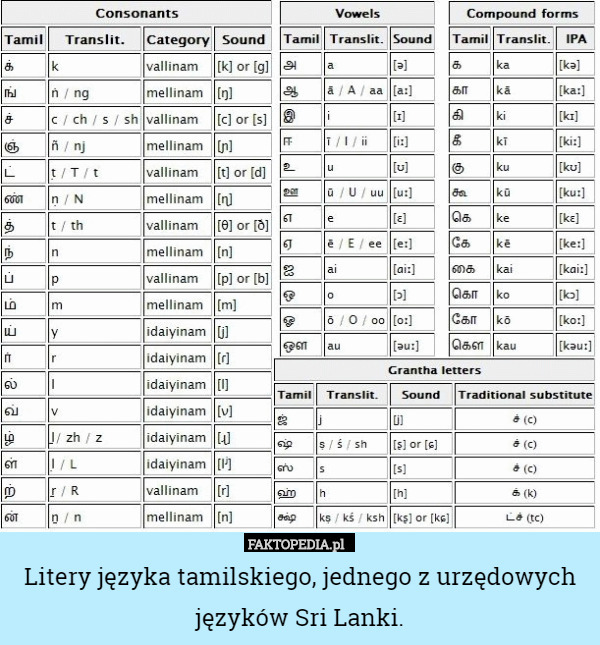Litery języka tamilskiego, jednego z urzędowych języków...