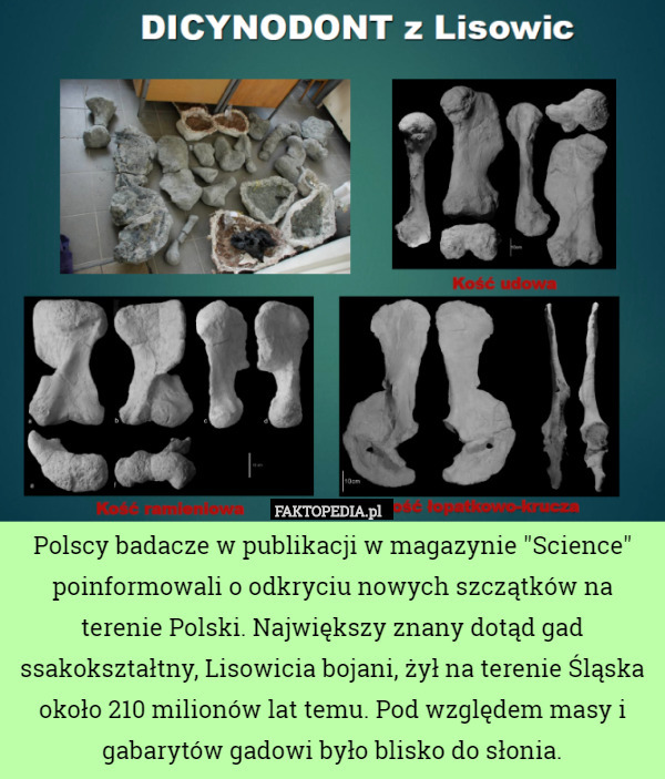 Polscy badacze w publikacji w magazynie "Science" poinformowali...