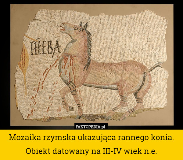 Mozaika rzymska ukazująca rannego konia. Obiekt datowany na...