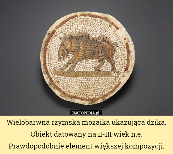 Wielobarwna rzymska mozaika ukazująca dzika. Obiekt datowany na...