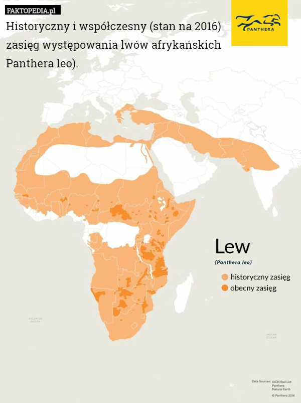 Historyczny i współczesny (stan na 2016) zasięg występowania lwów afrykańskich...
