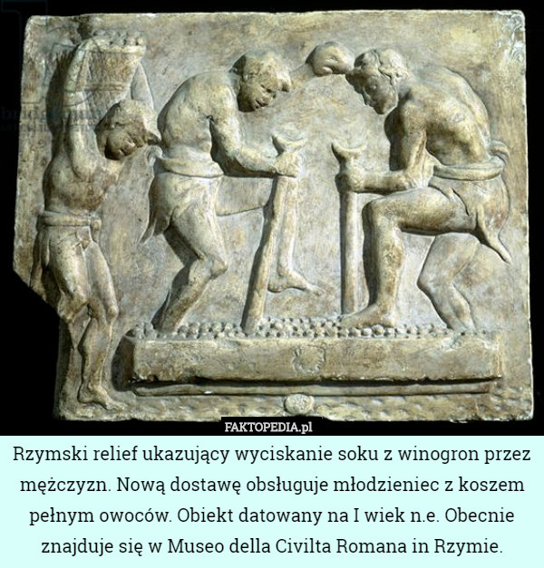 Rzymski relief ukazujący wyciskanie soku z winogron przez mężczyzn. Nową...