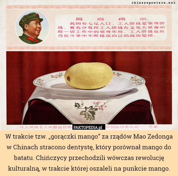 W trakcie tzw. „gorączki mango” za rządów Mao Zedonga w Chinach stracono...