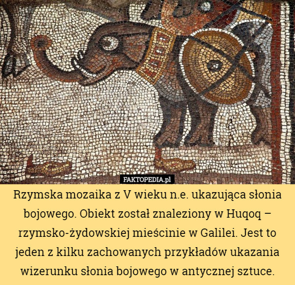 Rzymska mozaika z V wieku n.e. ukazująca słonia bojowego. Obiekt został...
