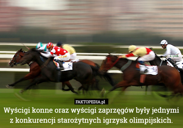 Wyścigi konne oraz wyścigi zaprzęgów były jednymi z konkurencji starożytnych...