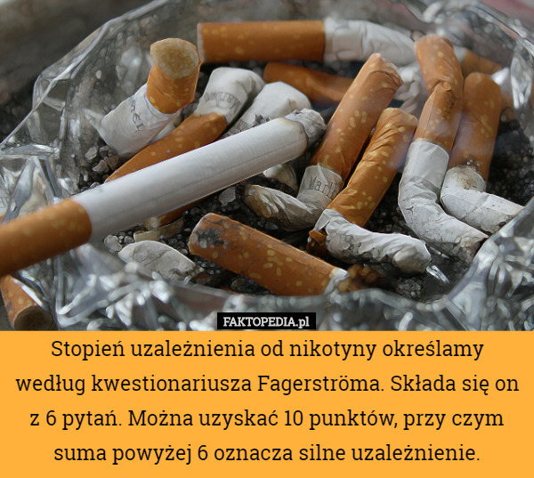 Stopień uzależnienia od nikotyny określamy według kwestionariusza Fagerströma....