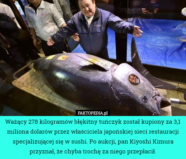 Ważący 278 kilogramów błękitny tuńczyk został kupiony za 3,1 miliona dolarów...