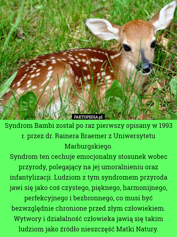 Syndrom Bambi został po raz pierwszy opisany w 1993 r. przez dr. Rainera...