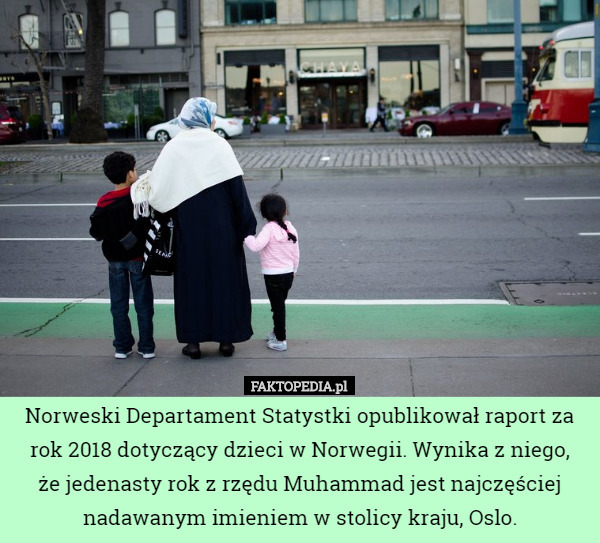 Norweski Departament Statystki opublikował raport za rok 2018 dotyczący...