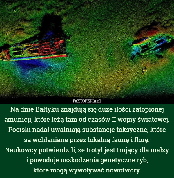 Na dnie Bałtyku znajdują się duże ilości zatopionej amunicji, które leżą...