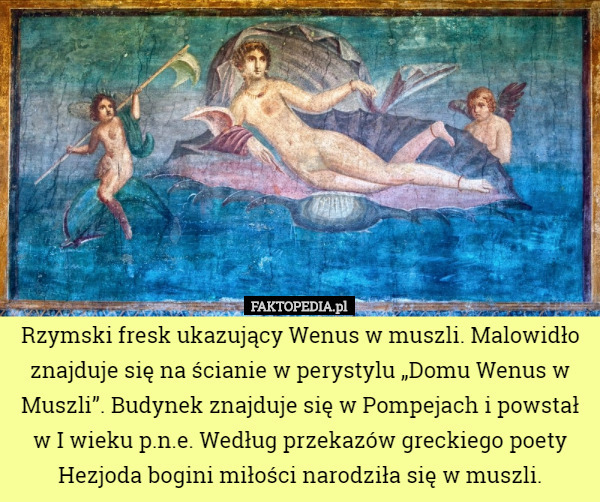 Rzymski fresk ukazujący Wenus w muszli. Malowidło znajduje się na ścianie...