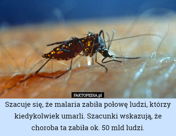 Szacuje się, że malaria zabiła połowę ludzi, którzy kiedykolwiek...