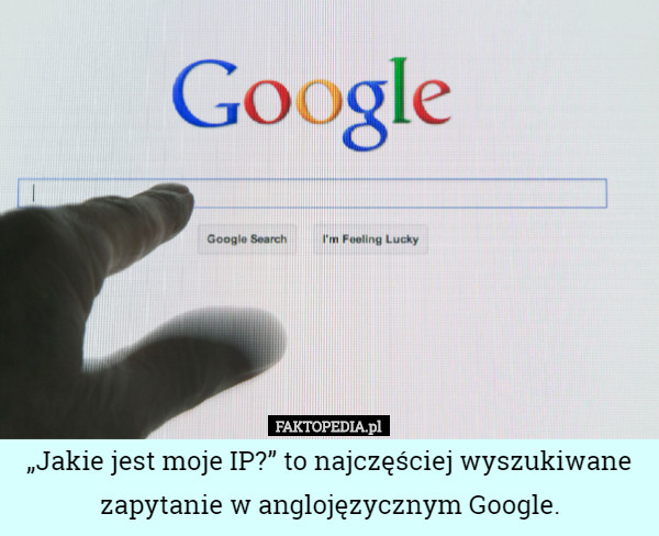„Jakie jest moje IP?” to najczęściej wyszukiwane zapytanie w anglojęzycznym...