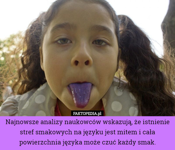 Najnowsze analizy naukowców wskazują, że istnienie stref smakowych na języku...
