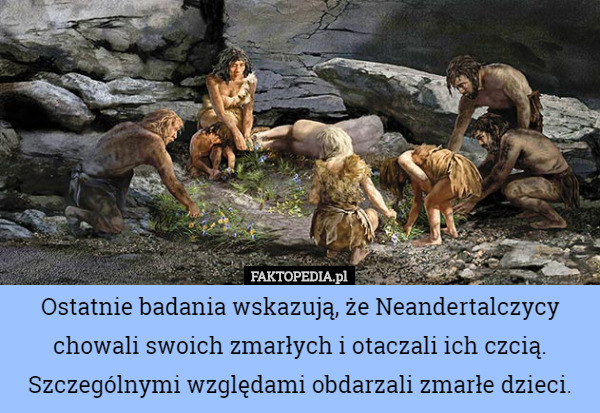 Ostatnie badania wskazują, że Neandertalczycy chowali swoich zmarłych i...