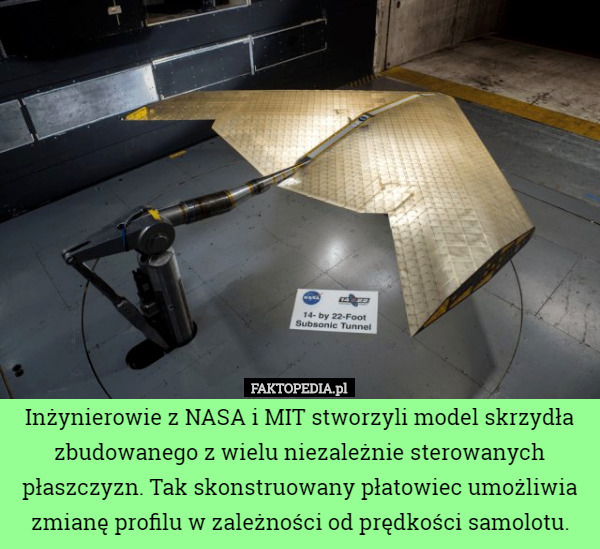Inżynierowie z NASA i MIT stworzyli model skrzydła zbudowanego z wielu niezależnie...