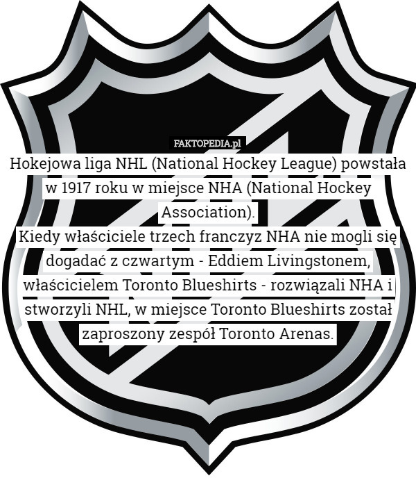 Hokejowa liga NHL (National Hockey League) powstała w 1917 roku w miejsce...
