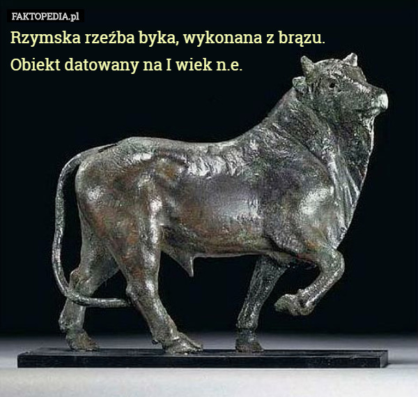 Rzymska rzeźba byka, wykonana z brązu. Obiekt datowany na...