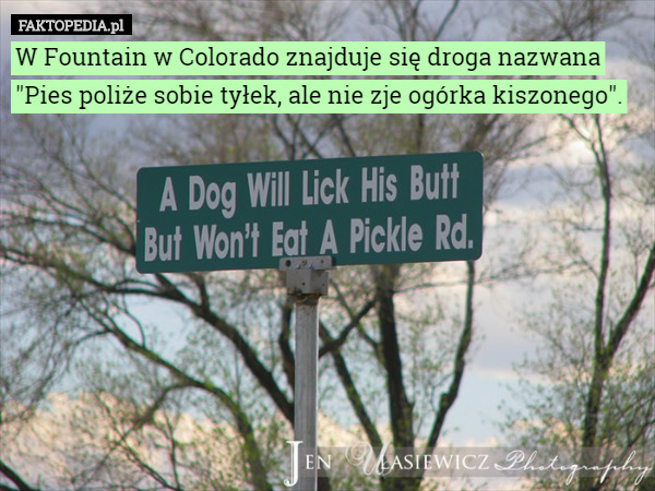 W Fountain w Colorado znajduje się droga nazwana "Pies poliże sobie...