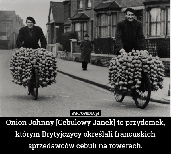 Onion Johnny [Cebulowy Janek] to przydomek, którym Brytyjczycy określali...