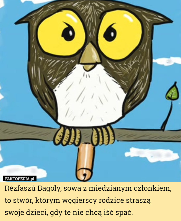 Rézfaszú Bagoly, sowa z miedzianym członkiem, to stwór, którym węgierscy...