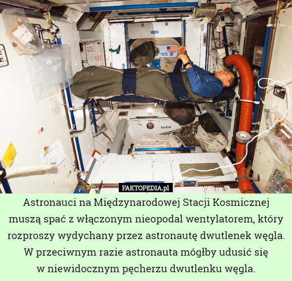 Astronauci na Międzynarodowej Stacji Kosmicznej muszą spać z włączonym nieopodal...