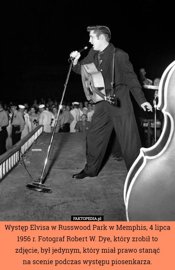 Występ Elvisa w Russwood Park w Memphis, 4 lipca 1956 r. Fotograf...
