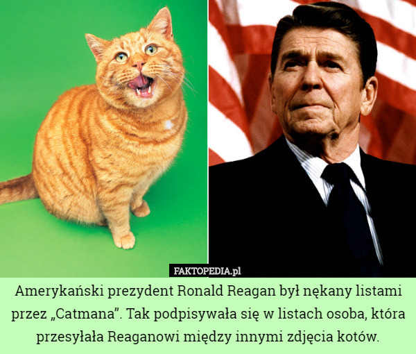 Amerykański prezydent Ronald Reagan był nękany listami przez „Catmana”...