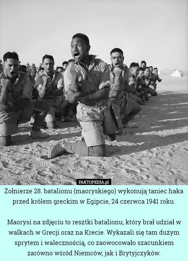 Żołnierze 28. batalionu (maoryskiego) wykonują taniec haka przed królem...