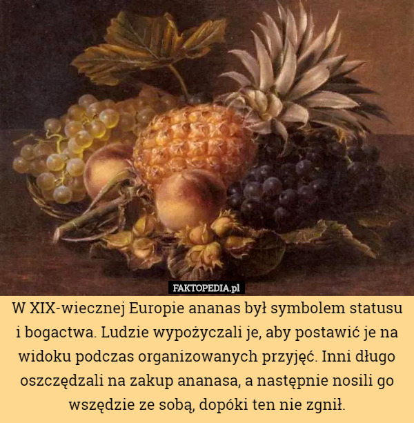 W XIX-wiecznej Europie ananas był symbolem statusu i bogactwa. Ludzie wypożyczali...