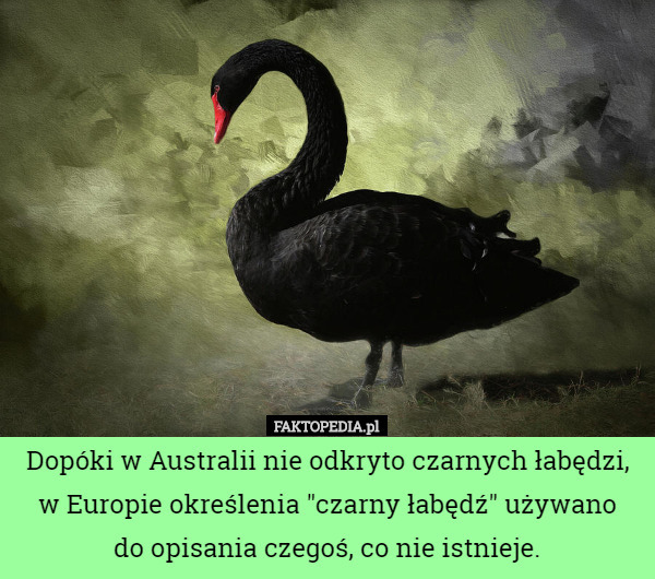 Dopóki w Australii nie odkryto czarnych łabędzi, w Europie określenia "czarny...