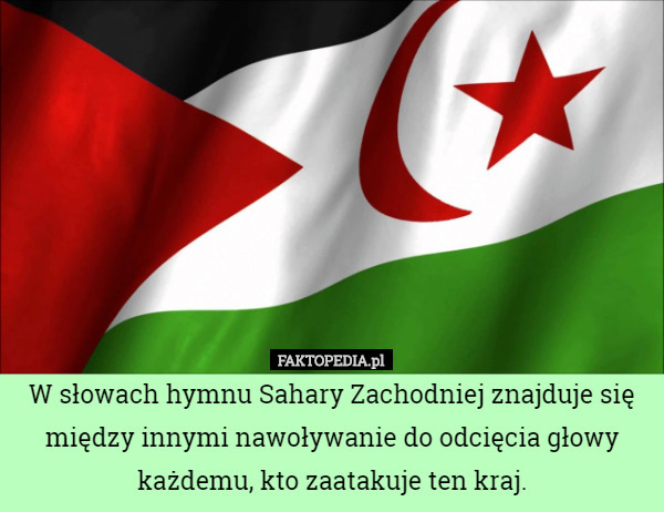 W słowach hymnu Sahary Zachodniej znajduje się między innymi nawoływanie...